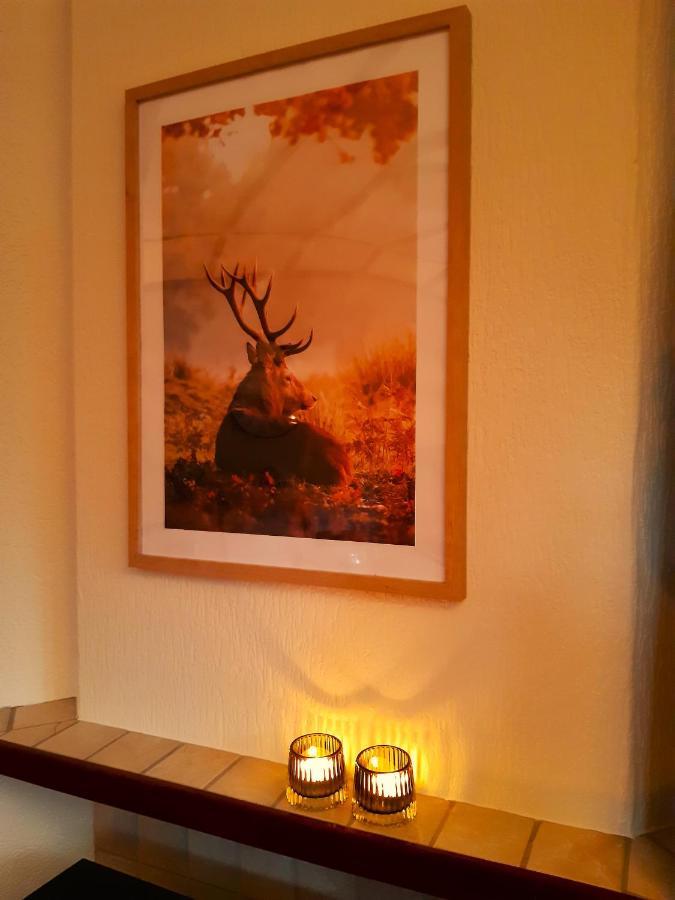 Genieten Op De Veluwe Van Rust En Natuur พุทเทิน ภายนอก รูปภาพ